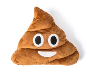 Pernă poop zâmbind