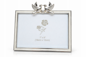 Rama foto a unui porumbel