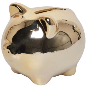 Piggy bank aur XS