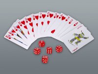 Set POKER 240 ml cu punch și cărți de joc