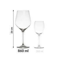 Set cadou de pahare pentru vin și whisky Froster Diamond